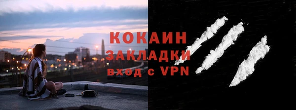 ГАЛЛЮЦИНОГЕННЫЕ ГРИБЫ Бородино