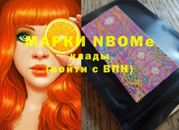 ГАЛЛЮЦИНОГЕННЫЕ ГРИБЫ Бородино
