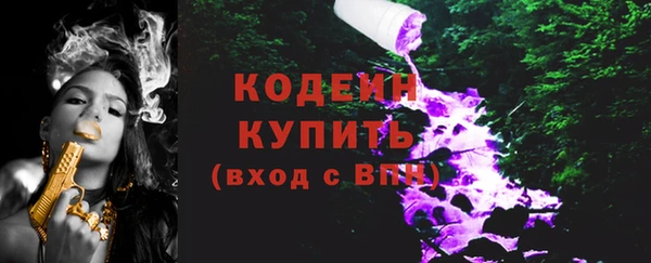 ГАЛЛЮЦИНОГЕННЫЕ ГРИБЫ Бородино