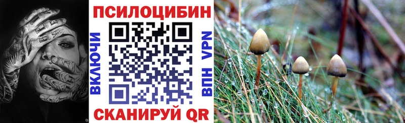 Псилоцибиновые грибы мухоморы  hydra ссылки  Ефремов 